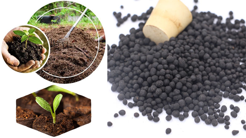 1st Choice Organic Fertilizer<br>1st Choice<br>More info<br>Click here
